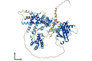 AlphaFold protein structure predicition of Human Recombinant KAT2B Protein, UniprotID Q92831 (KAT2B Protein (AA 1-832) (His tag))