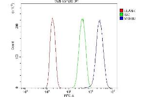Flow Cytometry analysis of A431 cells using anti-non-muscle Myosin IIB/MYH10 antibody (ABIN7603186).