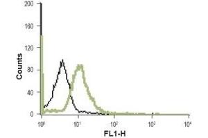 Cell surface detection of NTSR1 in live intact human promyelocytic leukemia HL-60 cell line: (black line) Cells + FITC-conjugated goat anti rabbit antibody.