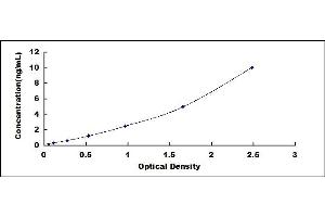 TIMP1 ELISA Kit