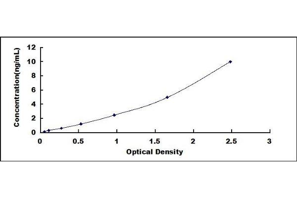 TIMP1 ELISA Kit