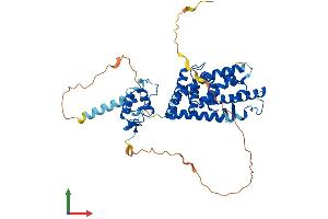 AlphaFold protein structure predicition of Human Recombinant NR1H2 Protein, UniprotID P55055 (NR1H2 Protein (AA 1-460) (His tag))