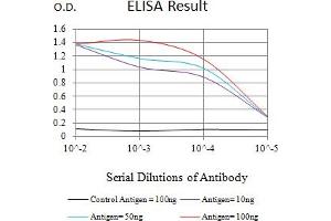 Black line: Control Antigen (100 ng),Purple line: Antigen (10 ng), Blue line: Antigen (50 ng), Red line:Antigen (100 ng) (ATR antibody  (AA 366-550))