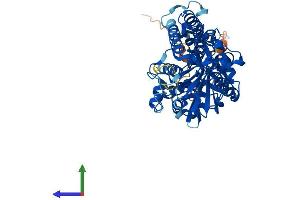 Protein Structure (PS) image for Spermine Oxidase (SMOX) (AA 1-555) protein (His tag) (ABIN7560334)