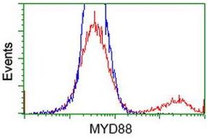 HEK293T cells transfected with either RC202253 overexpress plasmid (Red) or empty vector control plasmid (Blue) were immunostained by anti-MYD88 antibody (ABIN2453986), and then analyzed by flow cytometry.