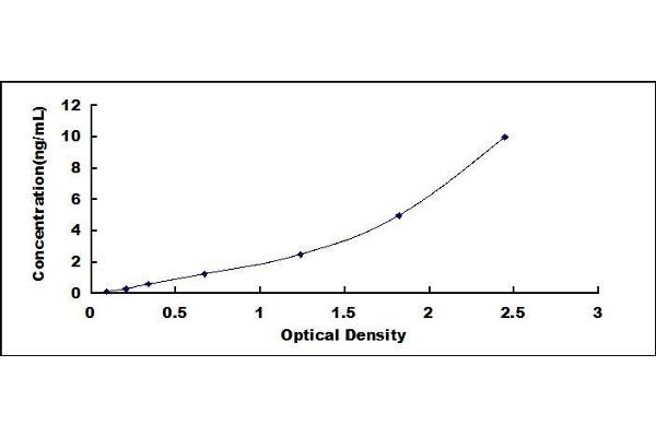 PLP1 ELISA Kit