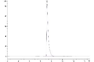 The purity of Mouse CD13/ANPEP is greater than 95 % as determined by SEC-HPLC. (CD13 Protein (AA 69-966) (His tag))