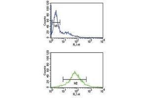 EZH2 antibody flow cytometric analysis of Jurkat cells (bottom histogram) compared to negative control cells (top histogram). (EZH2 antibody)