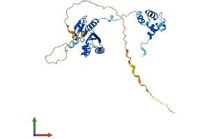 Protein Structure (PS) image for Excision Repair Cross Complementing Polypeptide-1 (ERCC1) (AA 1-297) protein (His tag) (ABIN7547482)