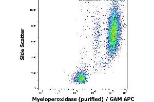 Flow cytometry intracellular staining pattern of human peripheral whole blood stained using anti-human Myeloperoxidase (MPO421-8B2) purified antibody (concentration in sample 1 μg/mL) GAM APC.