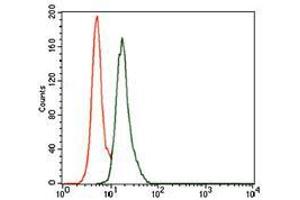Flow cytometric analysis of A549 cells using Splunc2 mouse mAb (green) and negative control (red). (BPIFA2 antibody  (AA 16-250))