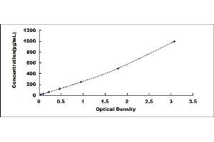 Typical standard curve (Klotho ELISA Kit)