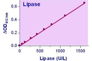 Biochemical Assay (BCA) image for Lipase Assay Kit (ABIN1000274)