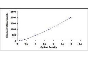 Trefoil Factor 2 (TFF2) ELISA Kit