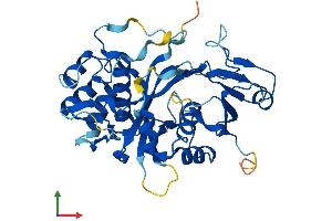 Protein Structure (PS) image for Nudix (Nucleoside Diphosphate Linked Moiety X)-Type Motif 19 (NUDT19) (AA 1-357) protein (His tag) (ABIN7562845)