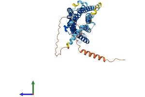AlphaFold protein structure predicition of Human Recombinant QRFPR Protein, UniprotID Q96P65 (QRFPR Protein (AA 1-431) (His tag))
