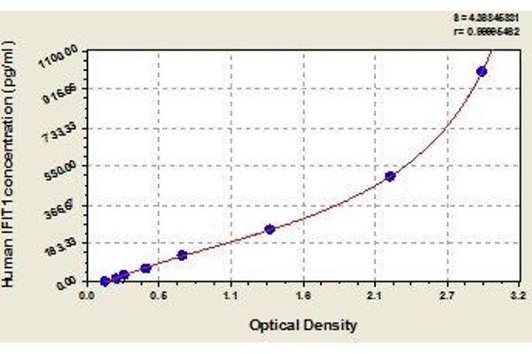 IFIT1 ELISA Kit