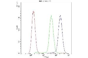 Flow Cytometry analysis of A549 cells using anti-ADO antibody (ABIN4886431). (ADO antibody  (AA 49-261))