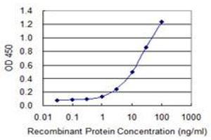 Detection limit for recombinant GST tagged MBD1 is 0. (MBD1 antibody  (AA 415-508))