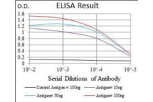 Black line: Control Antigen (100 ng), Purple line: Antigen(10 ng), Blue line: Antigen (50 ng), Red line: Antigen (100 ng),