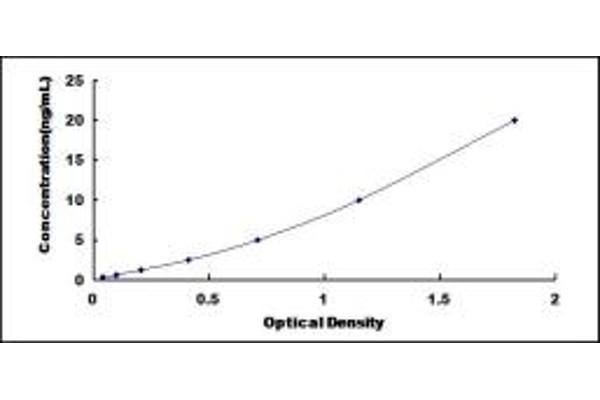 PRELP ELISA Kit