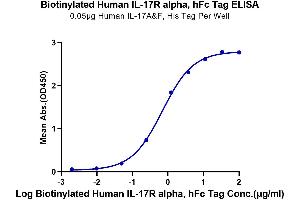 Immobilized Human IL-17A&F, His Tag at 0. (IL17RA Protein (Fc-Avi Tag,Biotin))