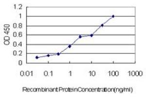 Detection limit for recombinant GST tagged STX1A is approximately 0. (STX1A antibody  (AA 1-251))