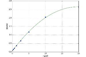 Cathepsin C (CTSC) ELISA Kit
