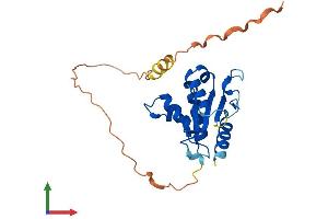 AlphaFold protein structure predicition of Human Recombinant TIRAP Protein, UniprotID P58753