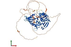 Protein Structure (PS) image for Ubiquitin Specific Peptidase 21 (USP21) (AA 1-565) protein (His tag) (ABIN7555939)