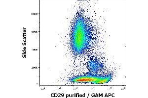 Flow cytometry surface staining pattern of human peripheral whole blood stained using anti-human CD29 (MEM-101A) purified antibody (concentration in sample 3 μg/mL) GAM APC. (ITGB1 antibody)
