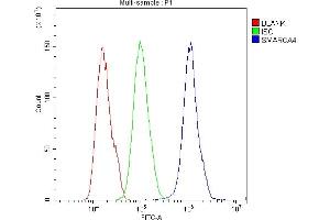 Flow Cytometry analysis of U20S cells using anti-BRG1 antibody (ABIN5692863).