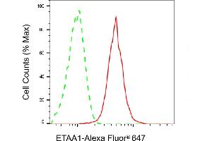 Flow cytometric analysis of ETAA1 expression in HepG2 cells using ETAA1 antibody (ABIN7798538), 1:2,000). (Recombinant ETAA1 antibody)