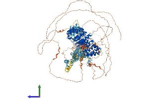 AlphaFold protein structure predicition of Human Recombinant CARMIL3 Protein, UniprotID Q8ND23 (LRRC16B Protein (AA 1-1372) (His tag))