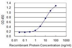 Detection limit for recombinant GST tagged DPYSL3 is 0. (DPYSL3 antibody  (AA 457-555))