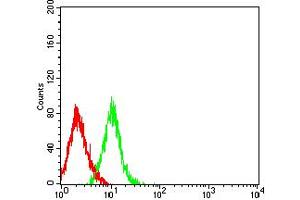Flow cytometric analysis of HL-60 cells using BTLA mouse mAb (green) and negative control (red).