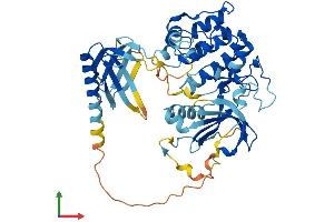 AlphaFold protein structure predicition of Mouse Recombinant Akt1 Protein, UniprotID P31750 (AKT1 Protein (AA 1-480) (His tag))