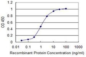 Detection limit for recombinant GST tagged LMTK3 is 0. (LMTK3 antibody  (AA 1151-1250))