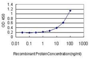 Detection limit for recombinant GST tagged RNMT is approximately 1ng/ml as a capture antibody. (RNMT antibody  (AA 1-476))