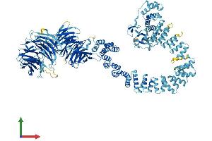 Protein Structure (PS) image for WD Repeat Domain 19 (WDR19) (AA 1-1342) protein (His tag) (ABIN7556036)