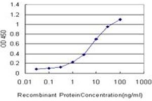 Detection limit for recombinant GST tagged DUSP5 is approximately 0. (DUSP5 antibody  (AA 286-384))