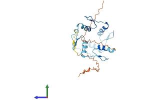 AlphaFold protein structure predicition of Human Recombinant ZNF22 Protein, UniprotID P17026 (Zinc Finger Protein 22 Protein (ZNF22) (AA 1-224) (His tag))