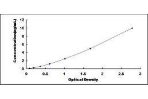 ELISA image for Dermcidin (DCD) ELISA Kit (ABIN416527)