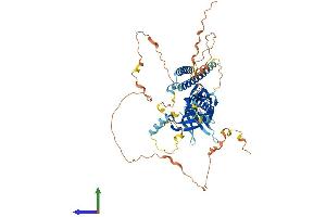 Protein Structure (PS) image for Rhotekin 2 (RTKN2) (AA 1-609) protein (His tag) (ABIN7551579)