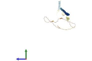 Protein Structure (PS) image for Dystrobrevin Binding Protein 1 (DTNBP1) (AA 1-351) protein (His tag) (ABIN7553755)
