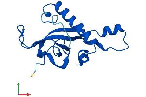 Protein Structure (PS) image for Ribosomal Protein L27 (RPL27) (AA 1-136) protein (His tag) (ABIN7551427)