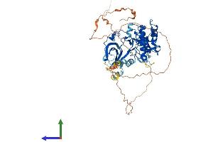 Protein Structure (PS) image for Ribosomal Protein S6 Kinase, 70kDa, Polypeptide 1 (RPS6KB1) (AA 1-525) protein (His tag) (ABIN7554401)