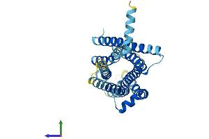 AlphaFold protein structure predicition of Mouse Recombinant Tas2r104 Protein, UniprotID Q7M723 (TAS2R104 Protein (AA 1-302) (His tag))