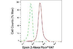Flow cytometric analysis of Epsin 2 expression in HeLa cells using Epsin 2 antibody (ABIN7798489), 1:1,000). (Epsin 2 antibody)