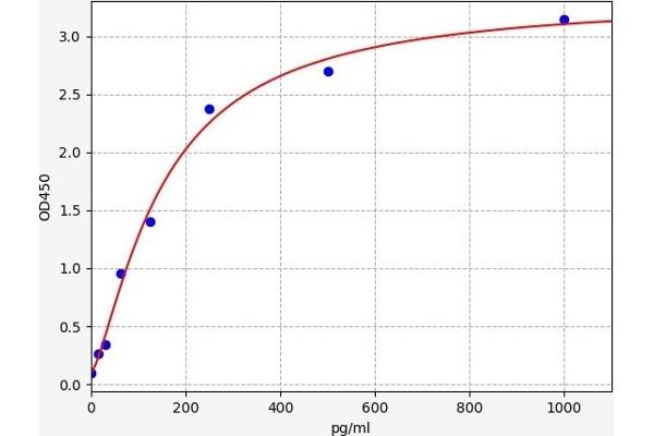 CYP11B1 ELISA Kit